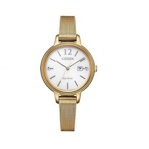 Reloj Citizen Collection EW2447-89A Eco Drive